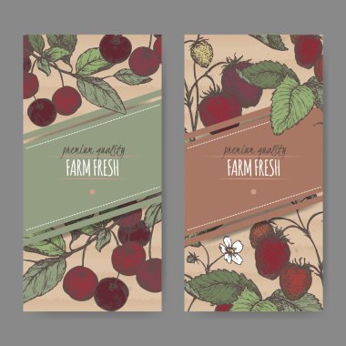Kiraz ve çilek rengi kroki üzerinde dayalı ile iki etiket.