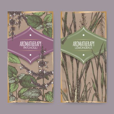 Limon otu ve silhat antika arka plan üzerinde içeren iki renk etiketleri.