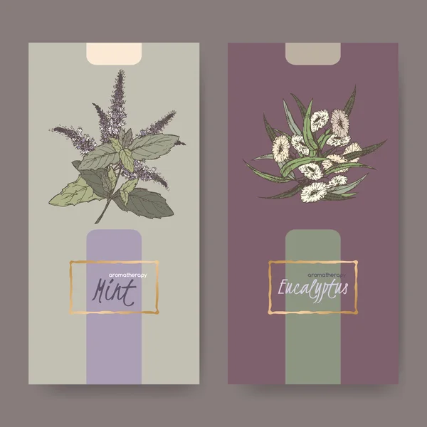 Twee elegante labels met pepermunt en eucalyptus boeket kleur schets. — Stockvector