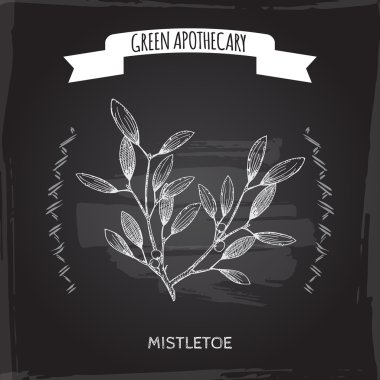 Viscum albüm aka ökseotu kroki yazı tahtası arka plan üzerinde.