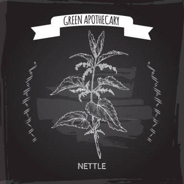 Urtica dioica namı diğer Isırgan otu eskizi. Yeşil eczacı serisi.