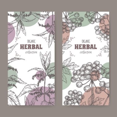 Urtica dioica, namı diğer Isırgan otu ve Angelica Başmelek namı diğer bahçe meleği çizimi olan iki etiket..