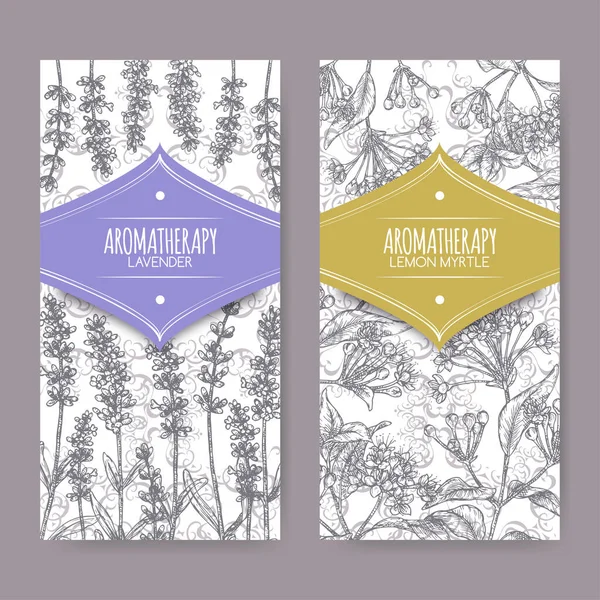 Zwei Etiketten mit Lavendel aka Lavandula angustifolia und Zitronenmyrte aka Backhousia citriodora Skizze. — Stockvektor