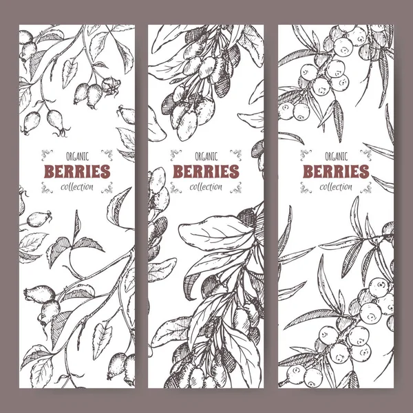 Set of three labels with dog rose, Goji berry and Common sea buckthorn branch sketch. Berry fruits series. — стоковый вектор