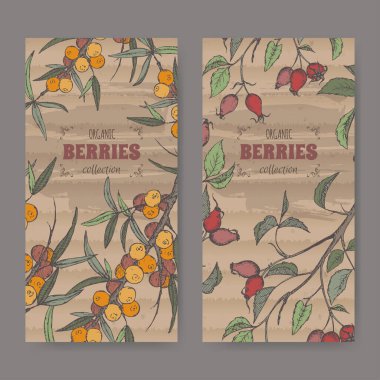 Köpek gülü ve yaygın deniz karatavuğu rengi çizimi olan iki etiket. Meyve serisi.