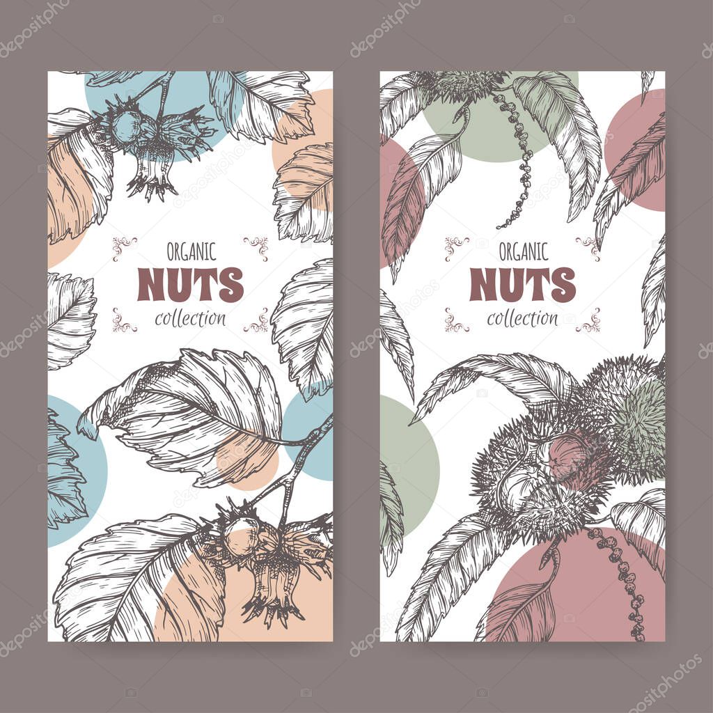 Set of two labels with sweet chestnut and common hazel branch and nuts sketch. Culinary nuts series.