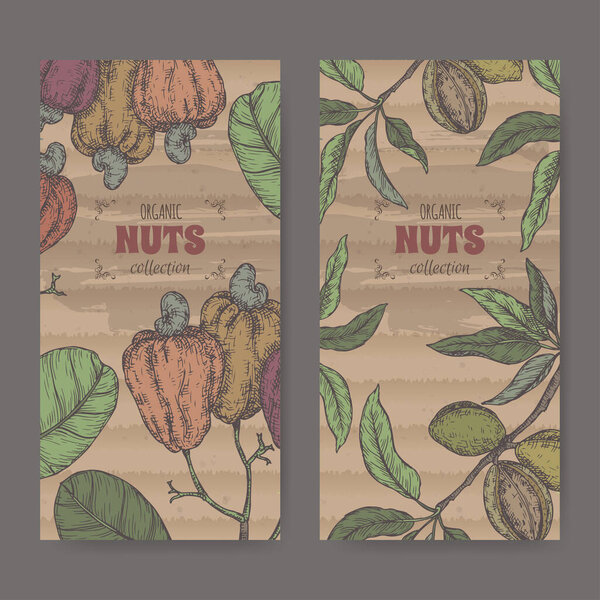 Two labels with prunus dulcis aka almond and Anacardium occidentale aka cashew color sketch. Culinary nuts series.