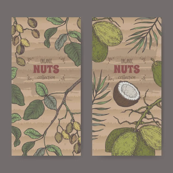 Set of two label with pistacia vera aka pistachio and Cocos nucifera aka kókuszdiófa ág és diófa színes vázlat. — Stock Vector