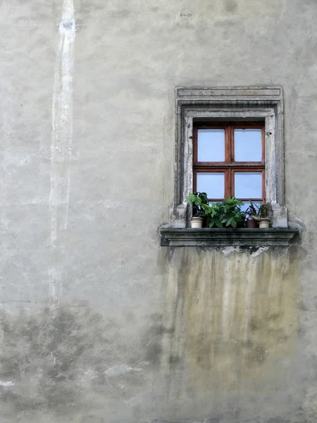 Ensam fönster — Stockfoto