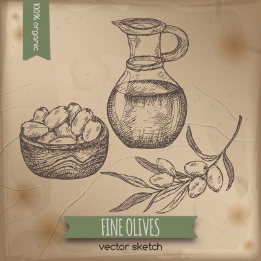 Vintage zeytin ve zeytinyağı şablonu