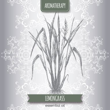Cymbopogon aka limon kroki
