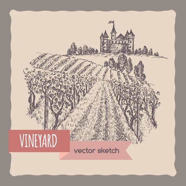 Cerca de viñedo, castillo en un paisaje de colina — Vector de stock