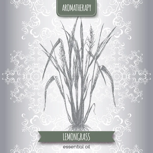 Cymbopogon aka limon kroki