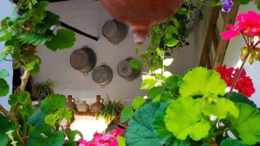 Güzel ve geleneksel Crdoba verandası