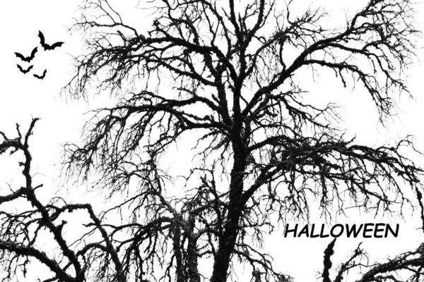 Gölgelerdeki korkunç ağaç Cadılar Bayramı