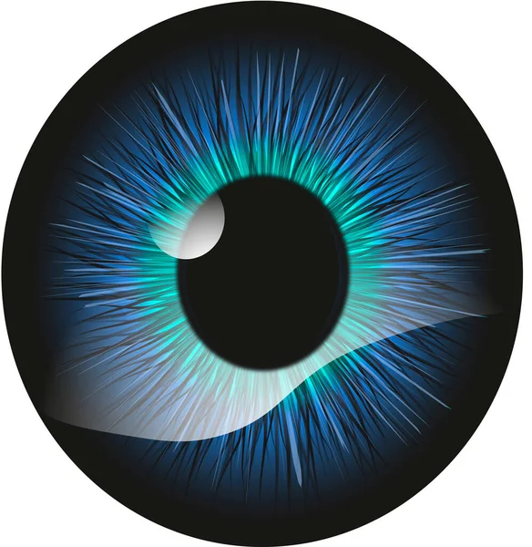 Augen Renita Und Blaue Pupille — Stockvektor