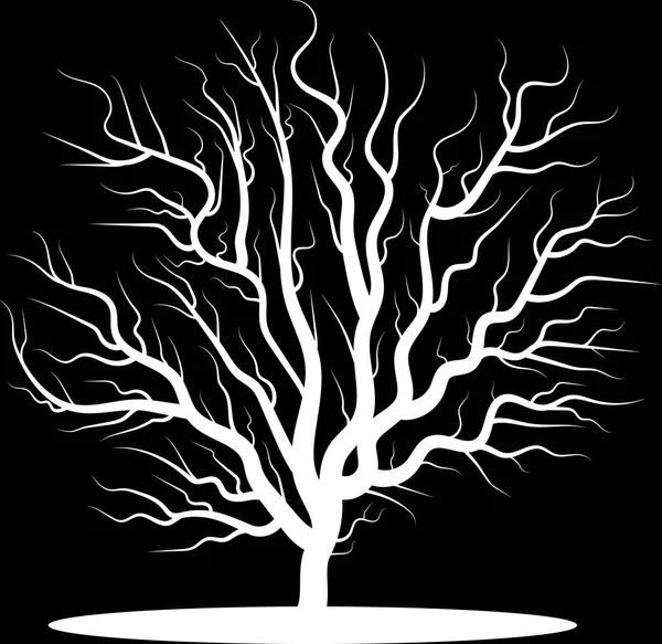 Esrarengiz manzaralar yaratmak için siyah zemin üzerinde beyaz ağaç