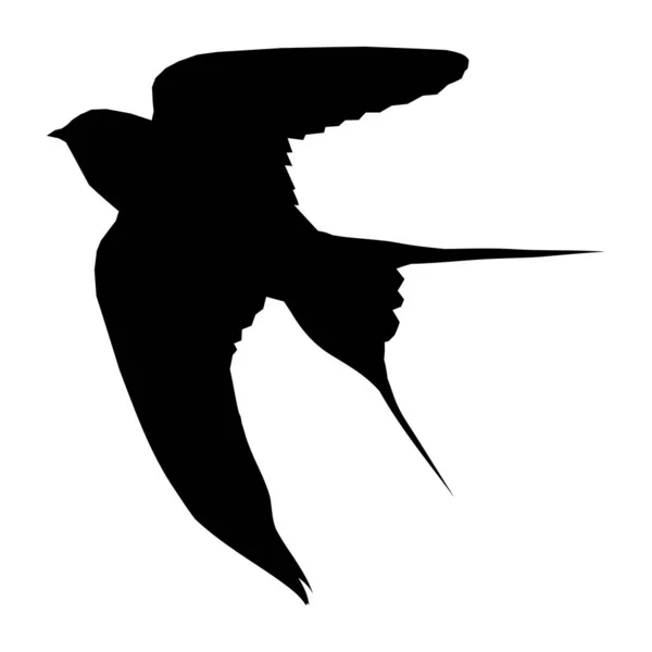 Silhueta Uma Andorinha Fundo Branco Silhueta Pássaro Voador —  Vetores de Stock