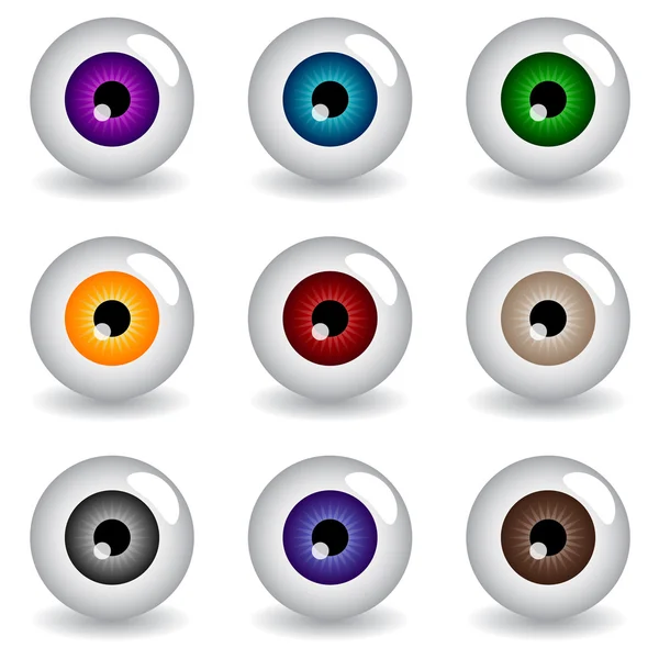 Human eyeballs. — Stock Vector © timurock 3690419