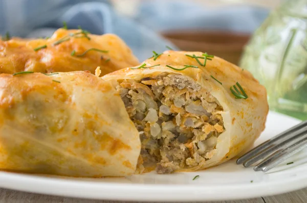 Repollo relleno con salsa de tomate —  Fotos de Stock