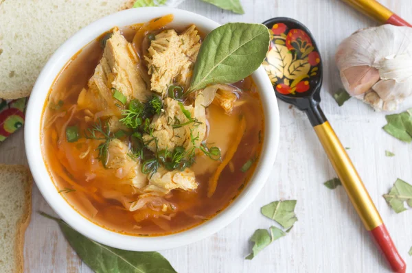Sopa de verduras tradicional con pollo — Foto de Stock