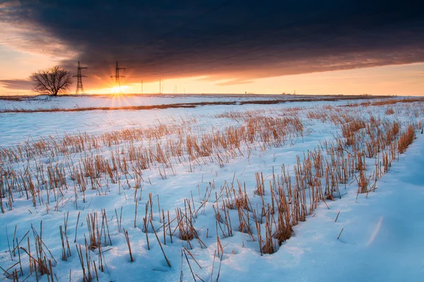 Nieve en el campo al atardecer. paisaje de invierno —  Fotos de Stock