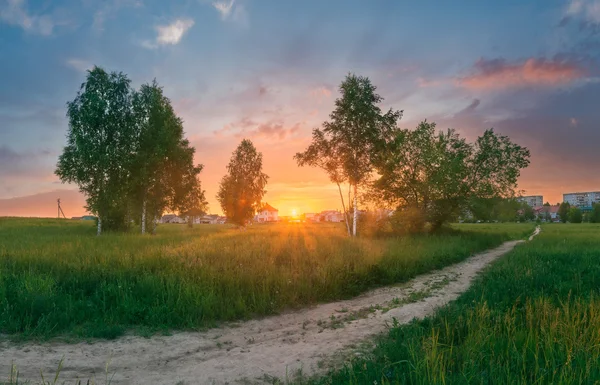 Sunset in the park — Stock Photo, Image