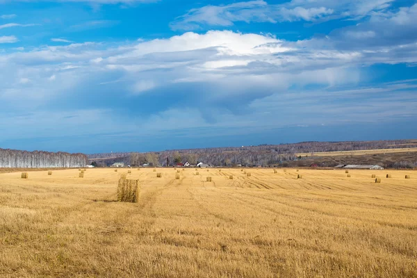 Landscape photo of rolled hay on a field — Stock Photo, Image