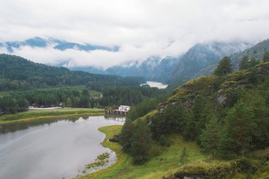 Yazın güzel dağ nehri manzarası.