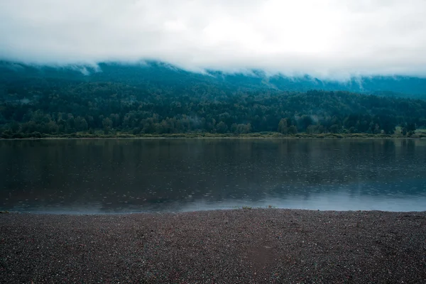 Nevoeiro místico sobre a floresta atrás do lago — Fotografia de Stock