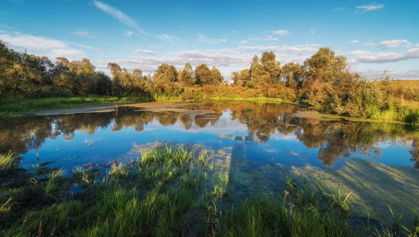 Lake landscape with beautiful reflection — Stock Photo, Image