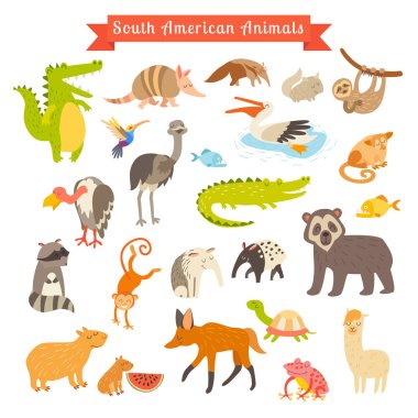 Güney Amerika hayvanlar