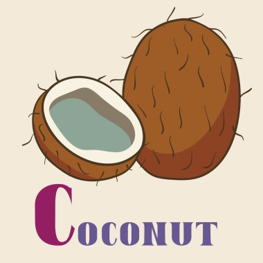 Elle çizilmiş Hindistan cevizi