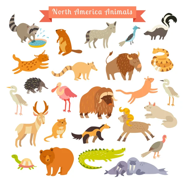 América del Norte animales — Vector de stock