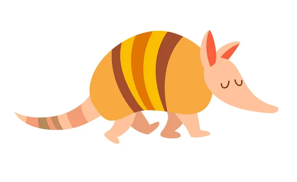 Armadillo sobre fondo blanco — Vector de stock