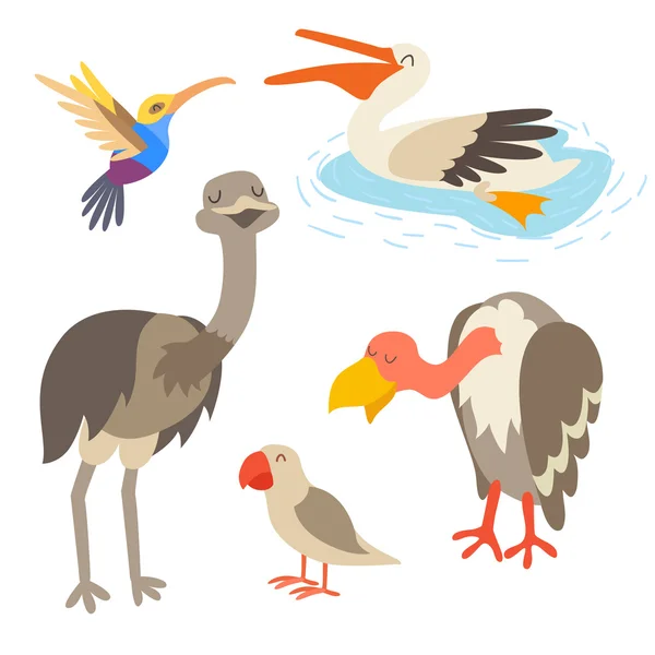 Птицы Южной Америки — стоковый вектор