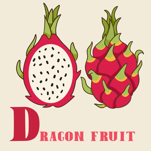 Dragón fruta ilustración — Vector de stock