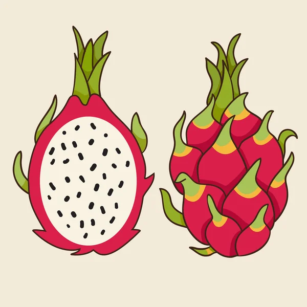 Dragon frukt Illustration — Stock vektor