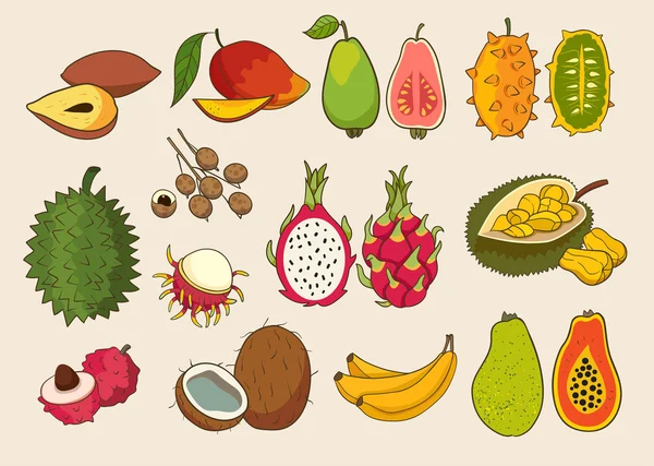 Conjunto de frutas exóticas — Archivo Imágenes Vectoriales