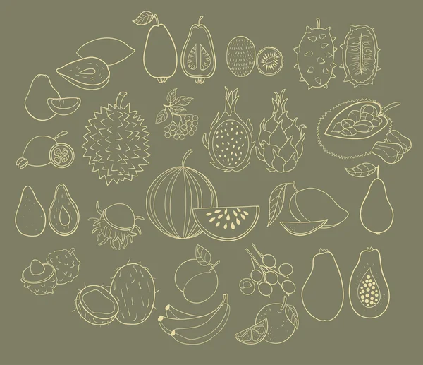 Ensemble de fruits exotiques — Image vectorielle