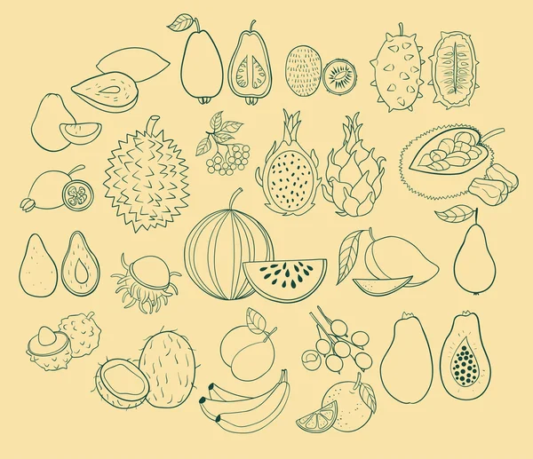 Набор экзотических фруктов — стоковый вектор
