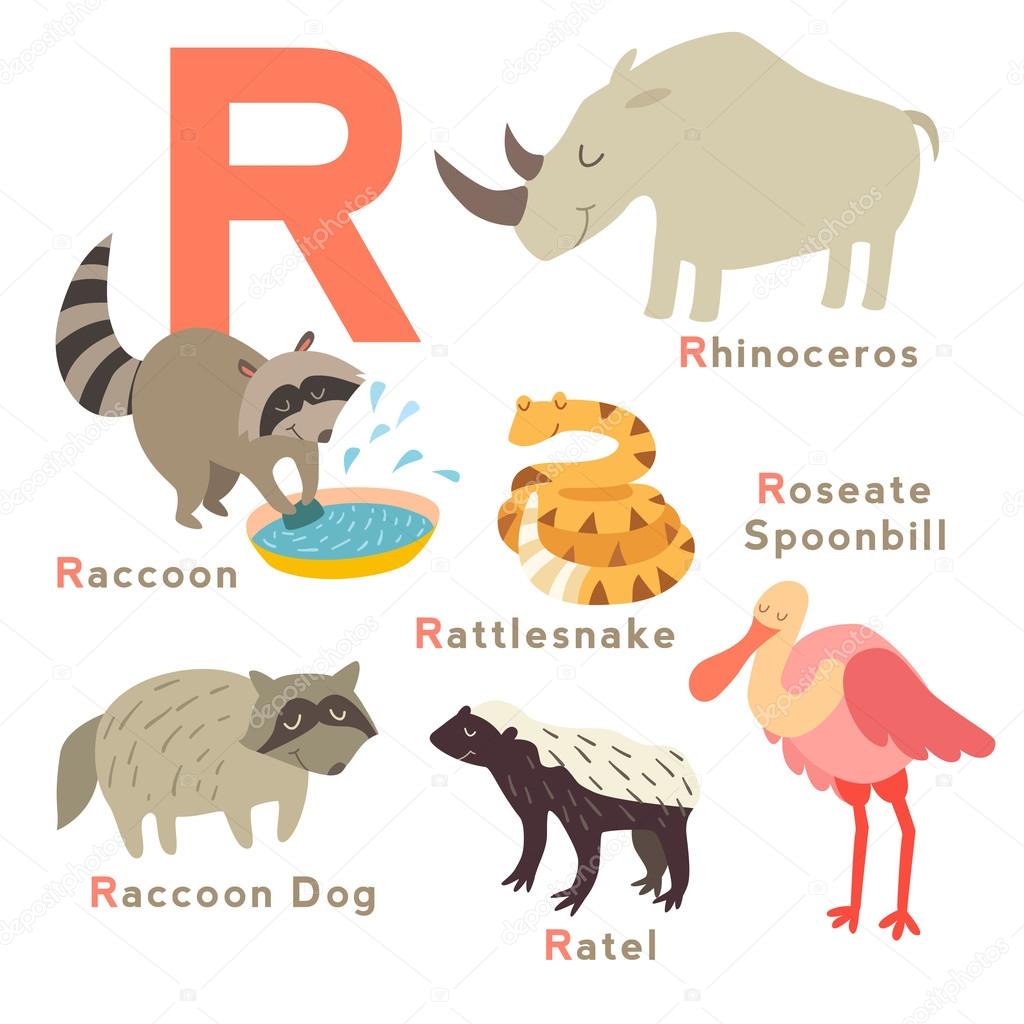 R letter animals set