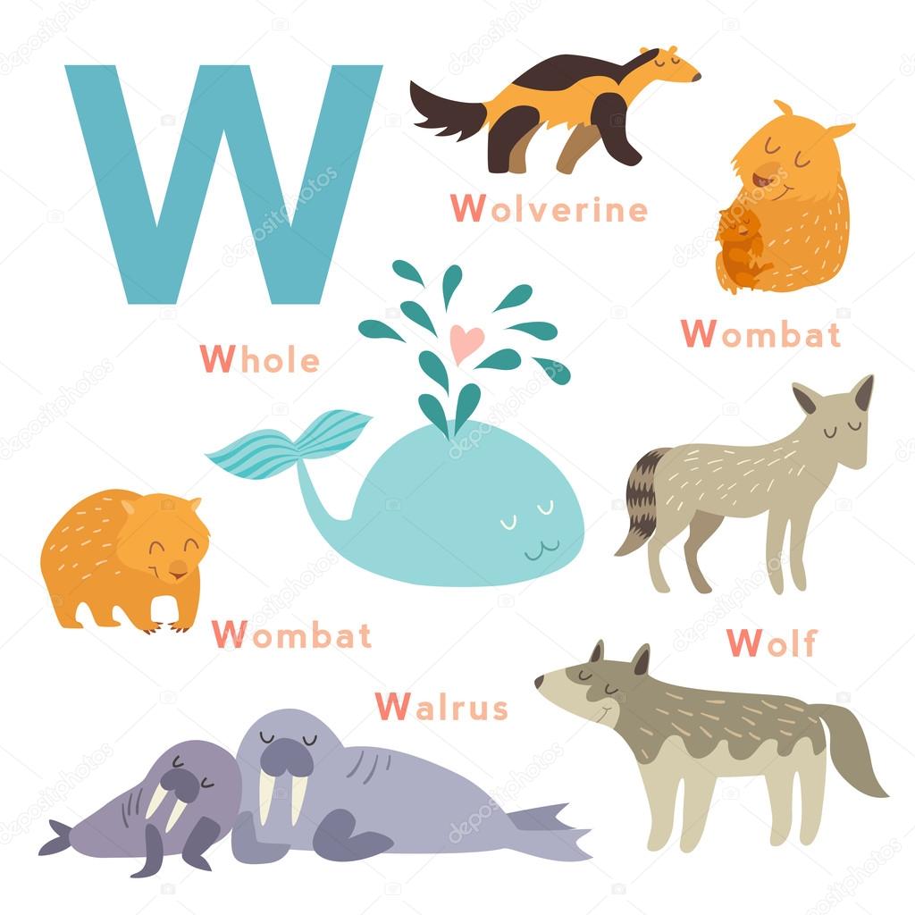 W letter animals set
