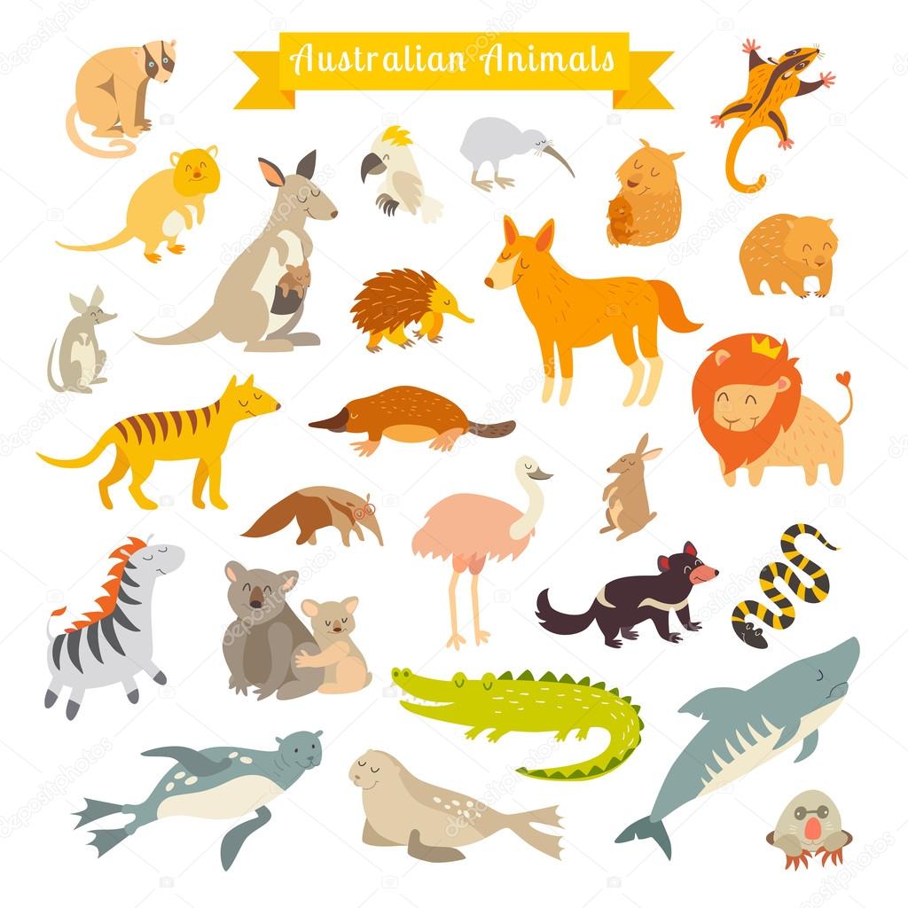 Australia animals illustration Vector Image by ©coffeee_in