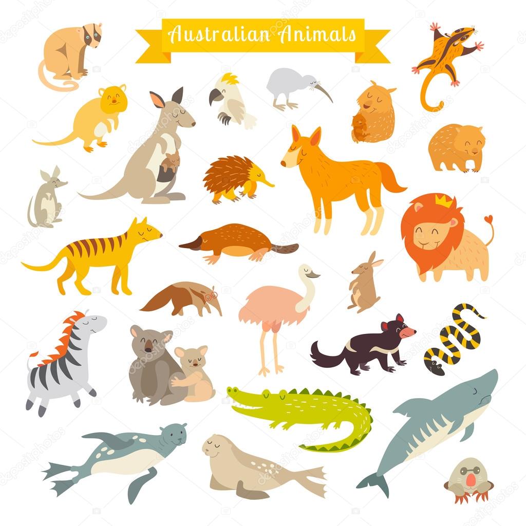 Australia animals illustration