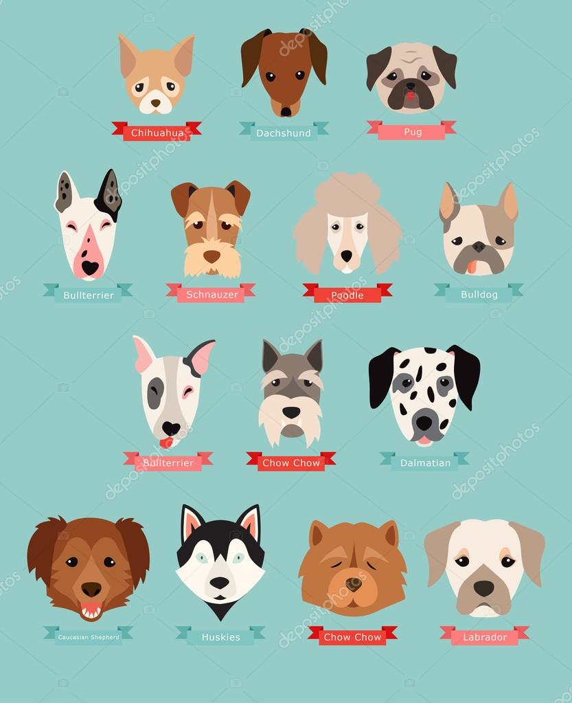 Collection De Races De Chien Image Vectorielle Coffeeein