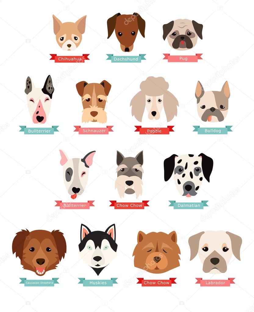 Dog breeds collection