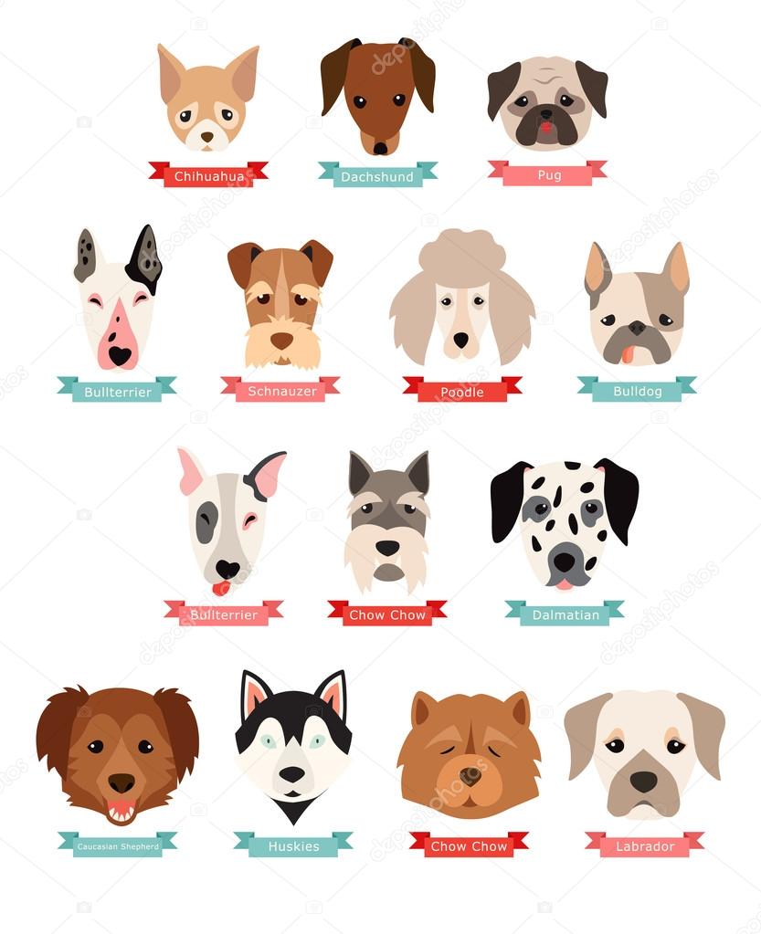 Dog breeds collection with ribbon and name, vector flat illustrations. Popular dogs breeds, card, dogs passport, game graphics