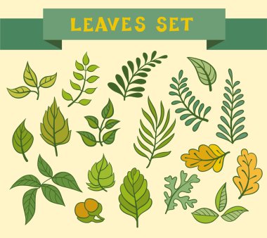 Elle çizilmiş yaprakları kümesi