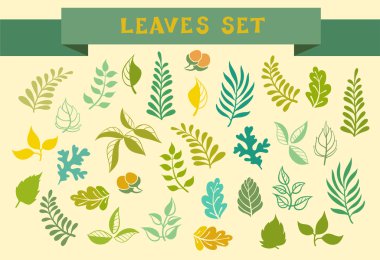 Elle çizilmiş yaprakları kümesi